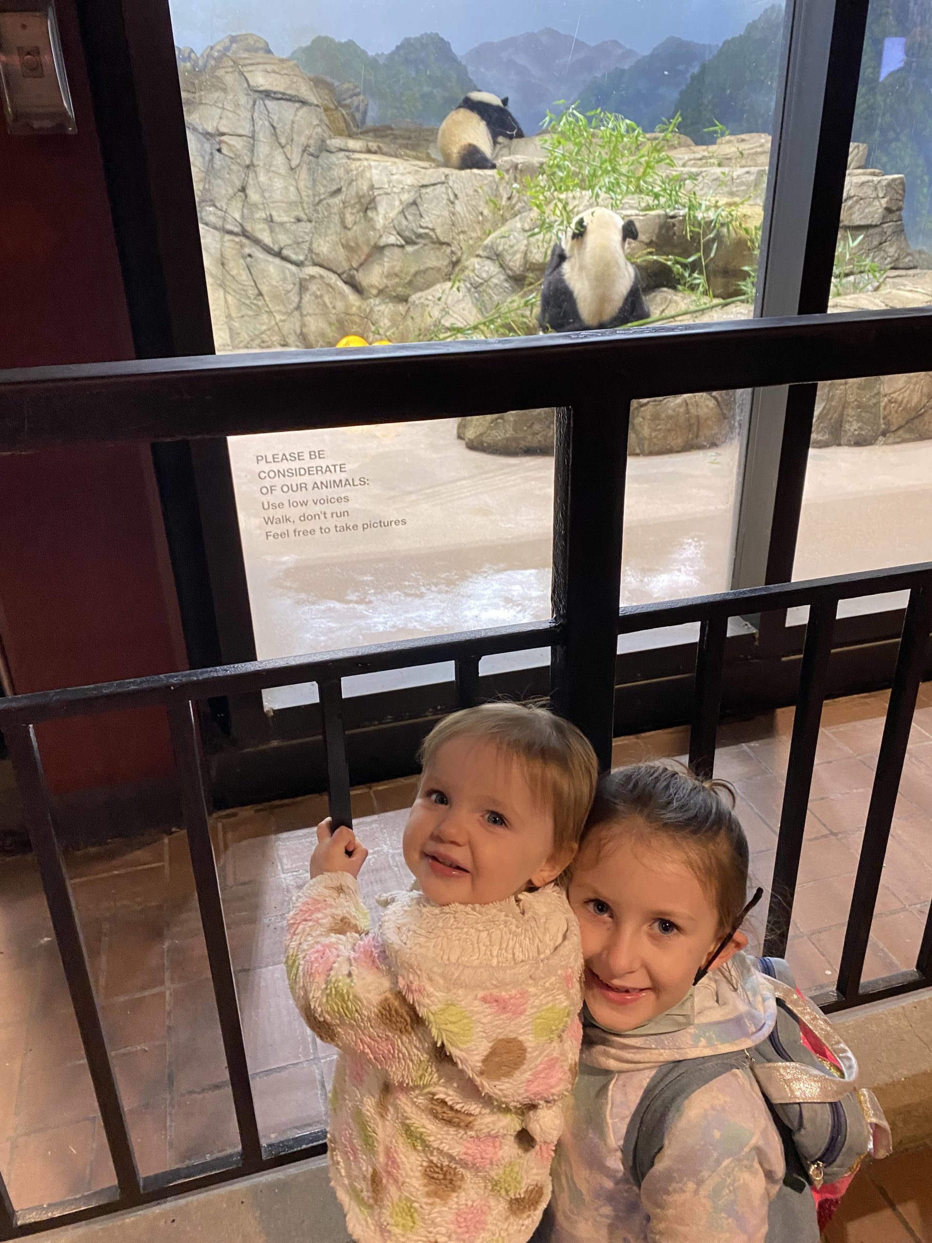 Mercy and Rosie looking at the Pandas