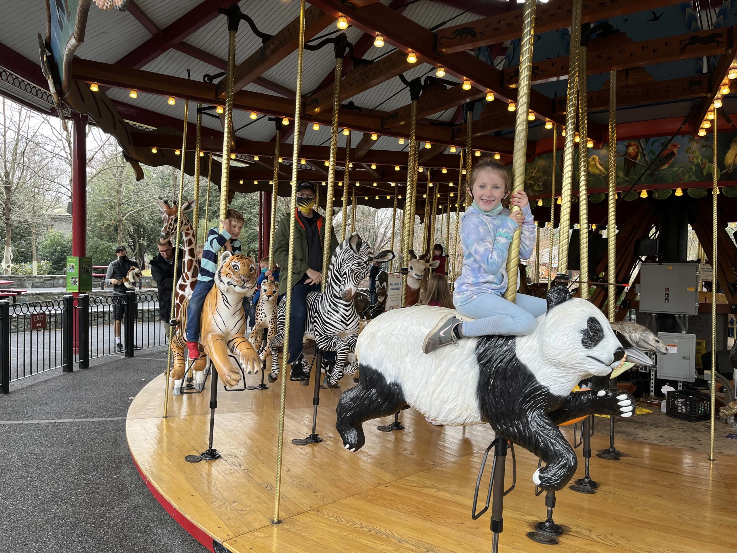 Rosie on the Carousel