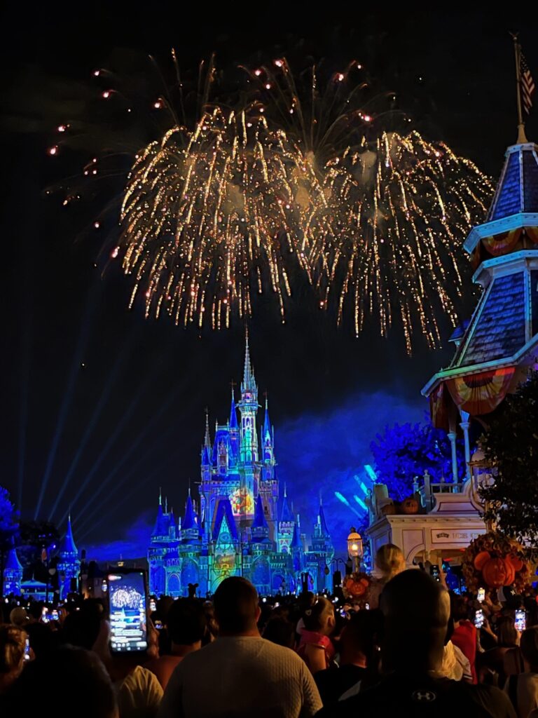 Fireworks at the Magic Kingdom